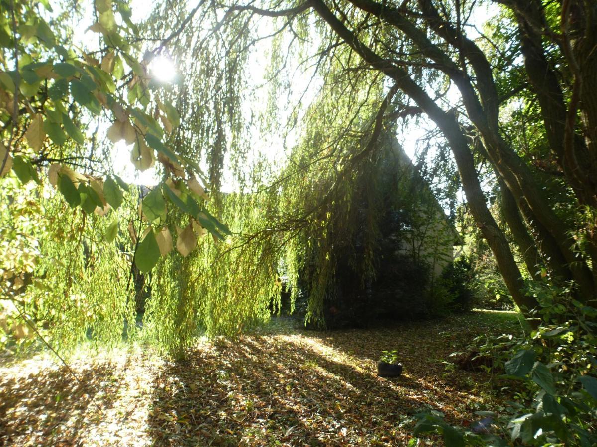 Fewo Im Naturschutzgebiet Hiddenhausen ภายนอก รูปภาพ